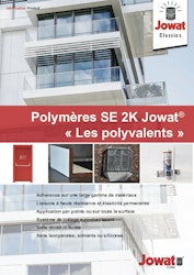 PI_2K SE polymers.PDF